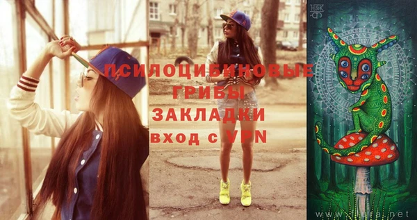 бошки Богородицк