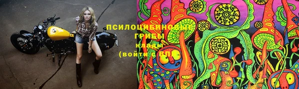jwh Богданович