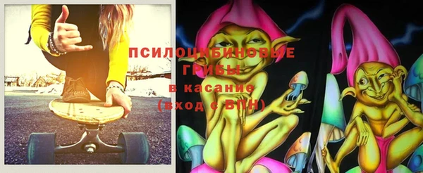 бошки Богородицк