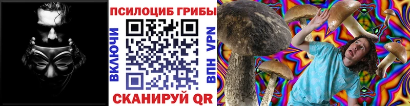 Псилоцибиновые грибы ЛСД Купить закладки Нефтегорск